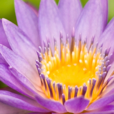 folksonomy | about us